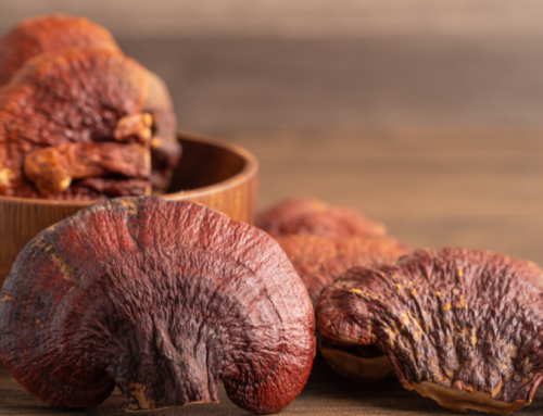 Mmmm…….shrooms! A delicious way to enjoy their benefits