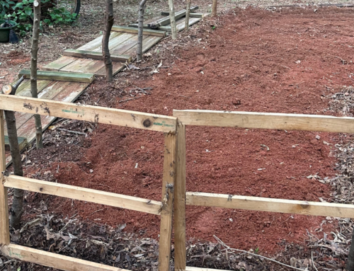 Reworking the garden bed (and other projects)